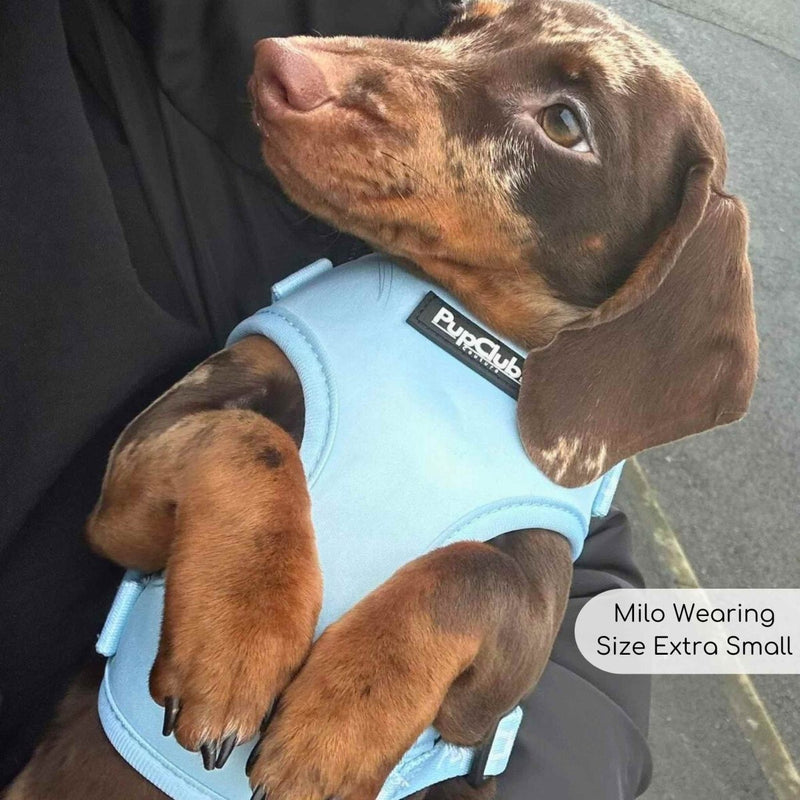 PupClub Dog Adjustable Harness - Pastel Blue