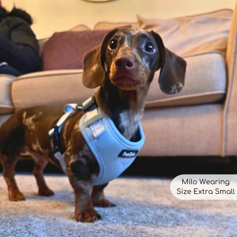 PupClub Dog Adjustable Harness - Pastel Blue