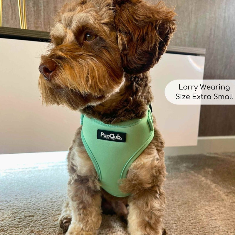 PupClub Dog Adjustable Harness - Pastel Mint Green