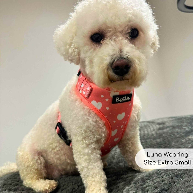 PupClub Dog Adjustable Harness - Peachy Hearts