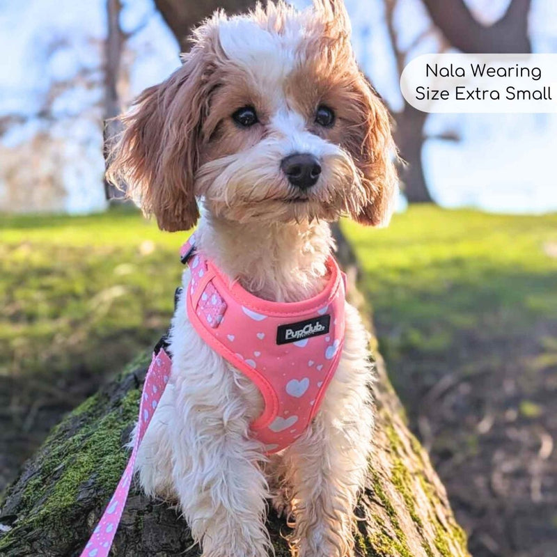PupClub Dog Adjustable Harness - Peachy Hearts
