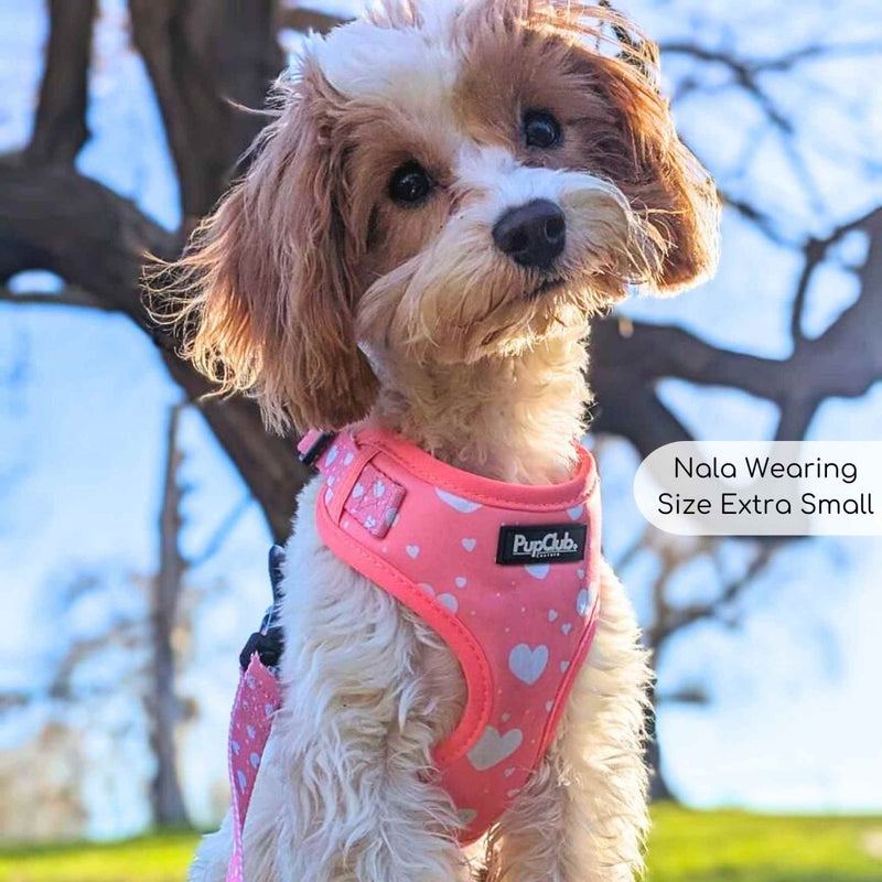 PupClub Dog Adjustable Harness - Peachy Hearts