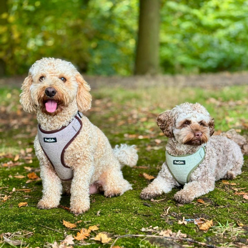 PupClub Dog Tweed Adjustable Harness - Brown