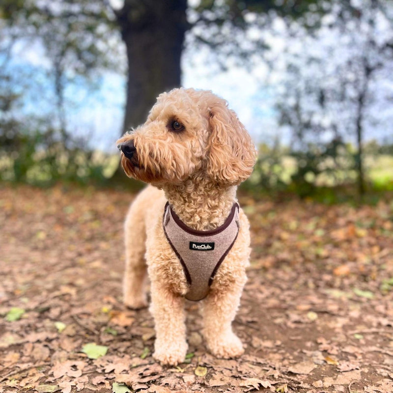 PupClub Dog Tweed Adjustable Harness - Brown