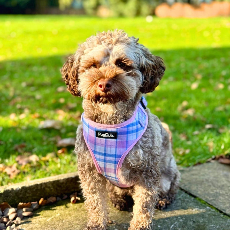 PupClub Dog Adjustable Harness - Pink Tartan