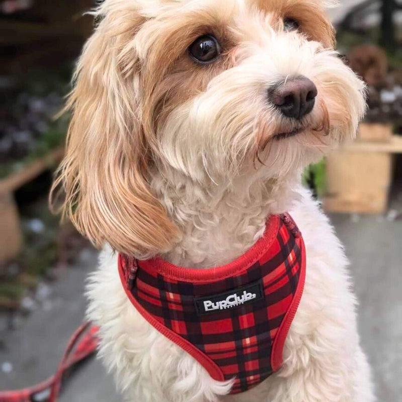 PupClub Dog Adjustable Harness - Red Tartan