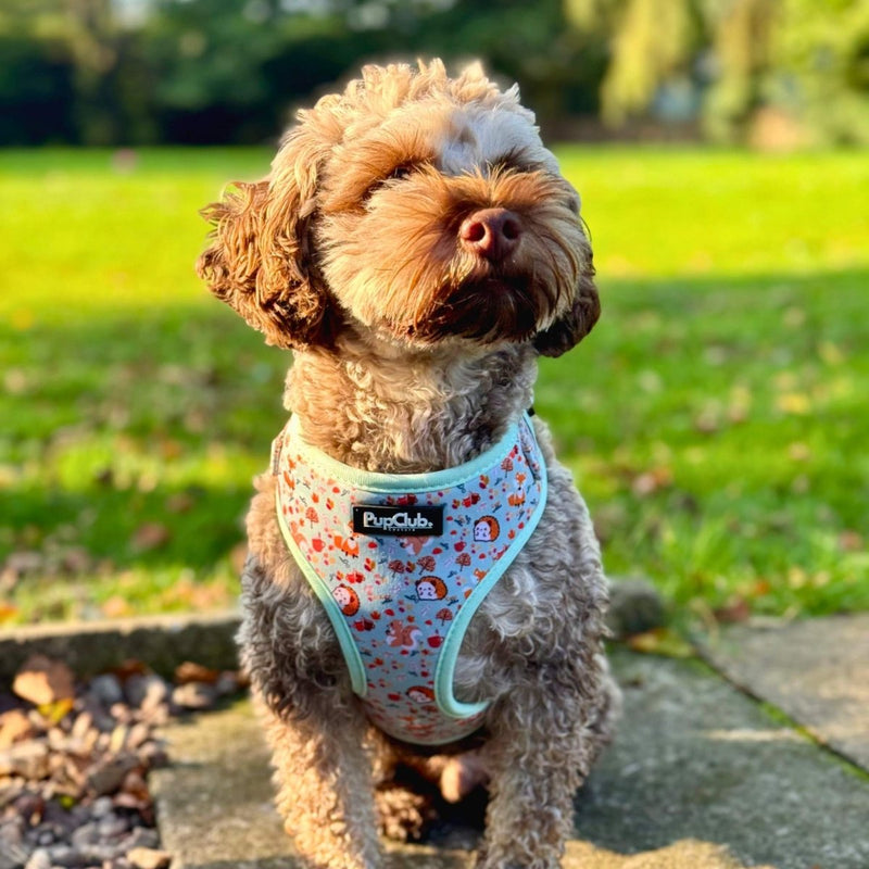 PupClub Dog Adjustable Harness - Woodland Friends