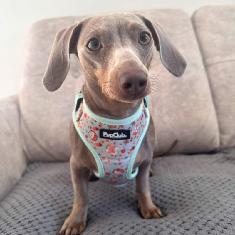 PupClub Dog Adjustable Harness - Woodland Friends