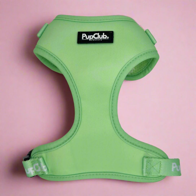 PupClub Dog Adjustable Harness - Pastel Mint Green