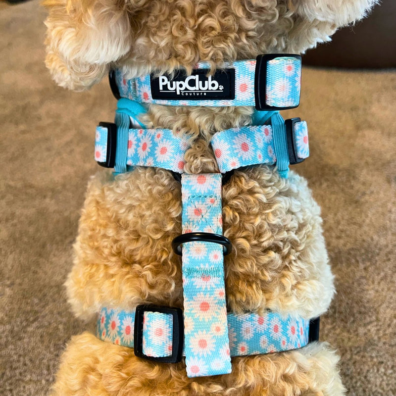 PupClub Dog Collar - Pastel Daisy