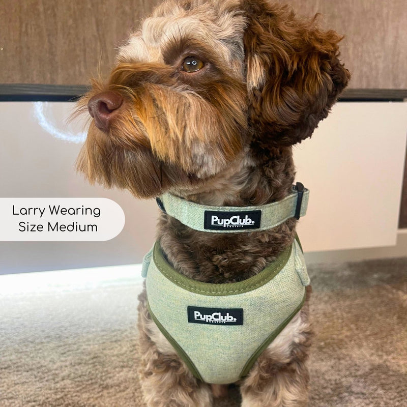 PupClub Dog Tweed Adjustable Harness - Sage