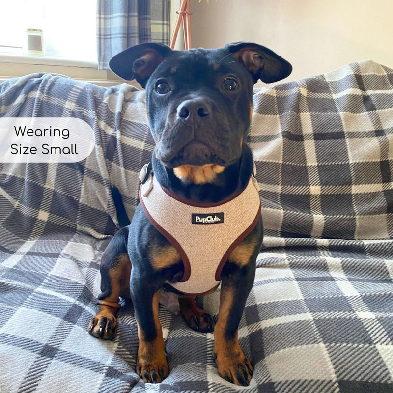 PupClub Dog Tweed Adjustable Harness - Brown