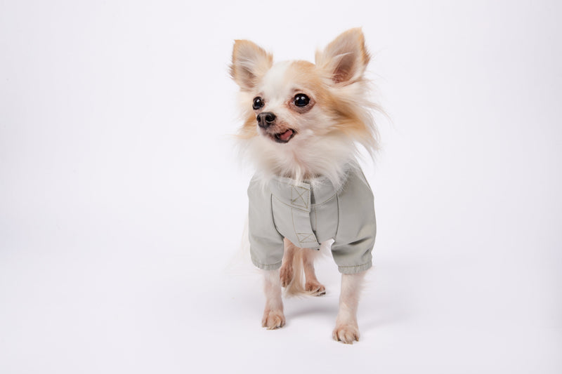 You are not alone Thin Coat