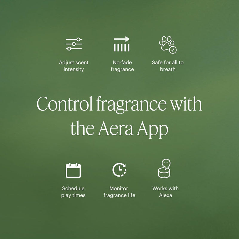 Aera Mini Rose - Essential Oil for Home | Fresh and Sensuous Floral Fragrance | Scent Refill for Mini Diffuser