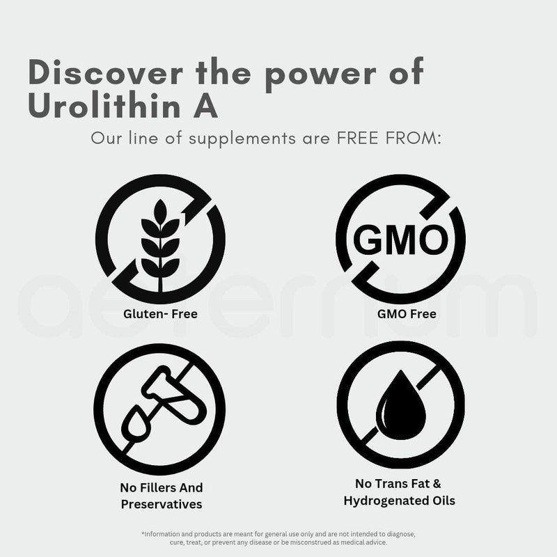Aeternum Urolithin A UA Capsules 500mg - 180 Capsules (1000mg per Serving)