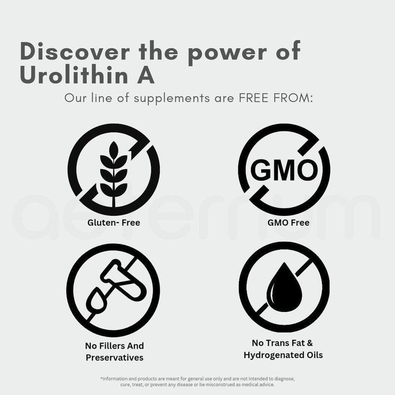 Aeternum UA Urolithin A Powder 100g | Pure Urolithin A