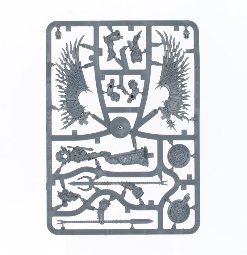Age of Sigmar: Starter Set