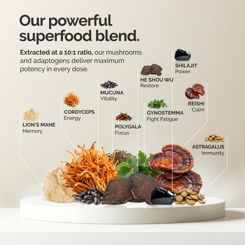 alcami elements Matcha Mushroom Coffee 10X Extract | Lion's Mane, Reishi & Cordyceps | 30 Servings