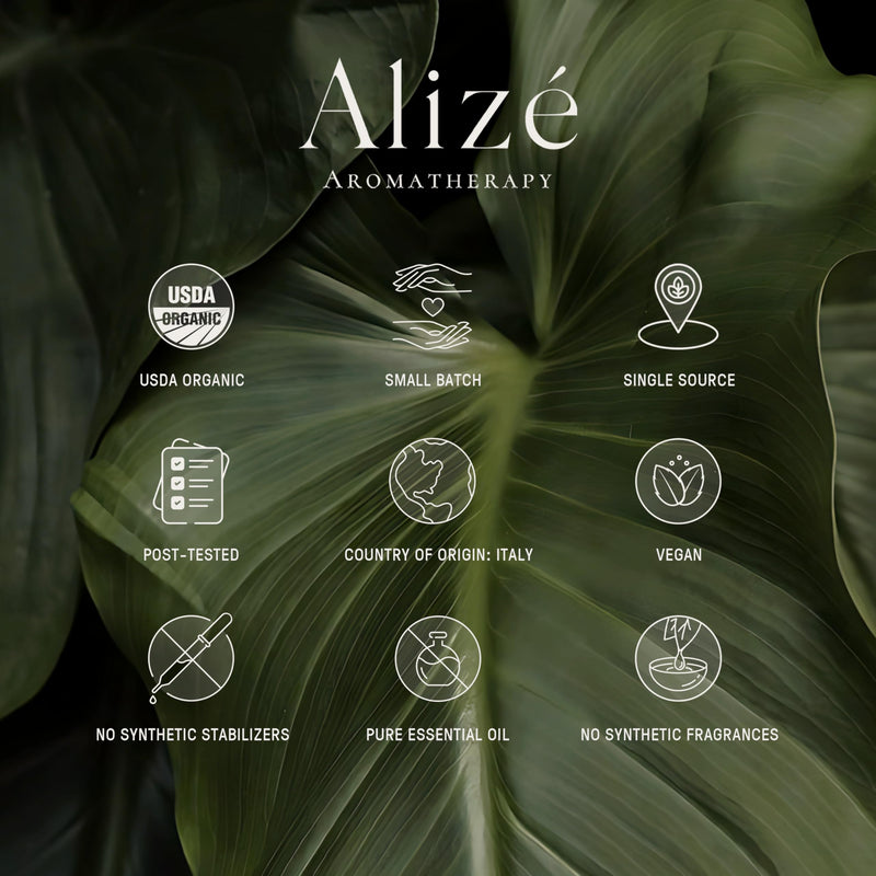 Alizé Bergamot Essential Oil – USDA Organic, 100% Pure & Natural, 10ml