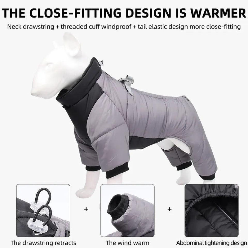 All Weather Dog All-In-One