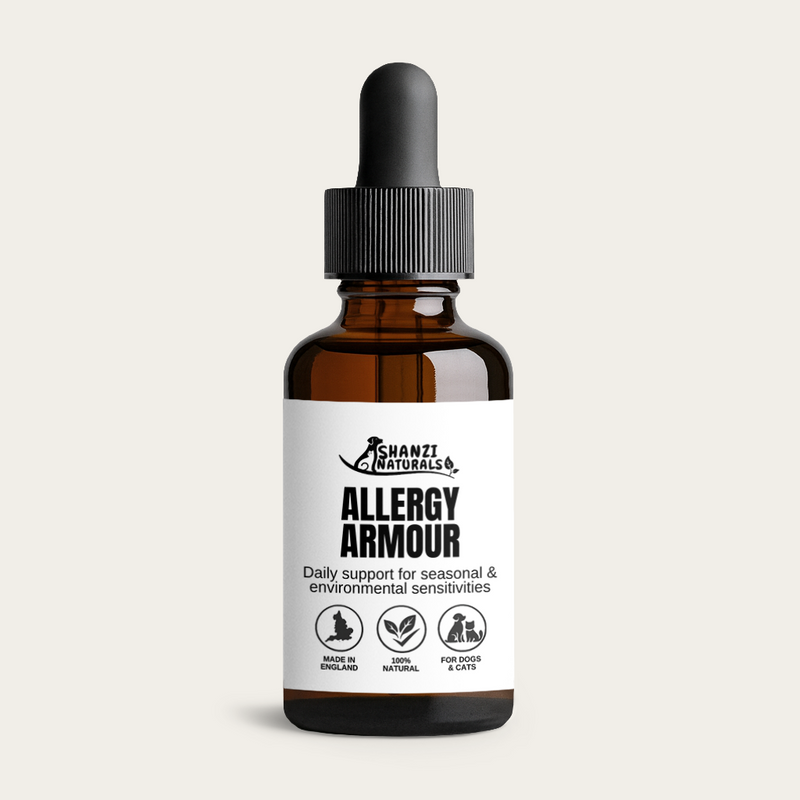 Allergy Armour Tincture - 100ml