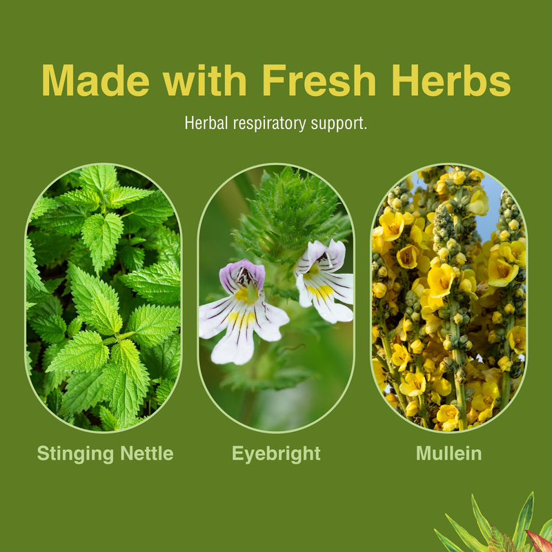 Herbs Etc. Allertonic – Healthy Breathing Support, 120 Softgels