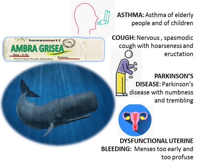 Ambra Grisea Homeopathy Pellets 200C (Pack of 3) – HomeoMart