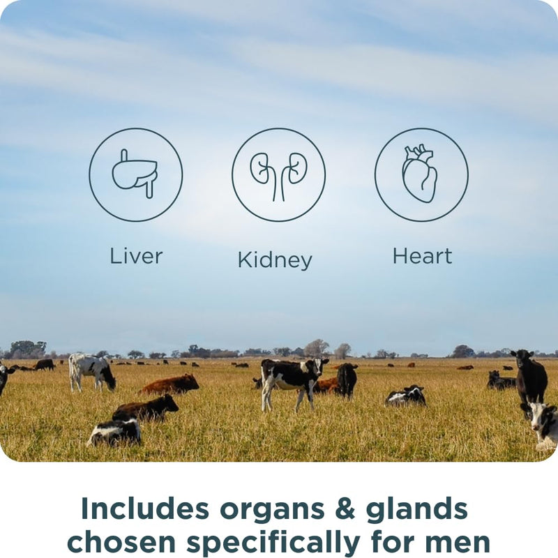Ancient Nutrition Once Daily Organs for Men – Grass-Fed & Wild Organ Complex (30 Ct)