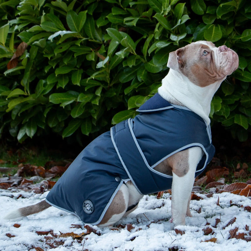 Ancol Stormguard Coat Blue XXL 70cm