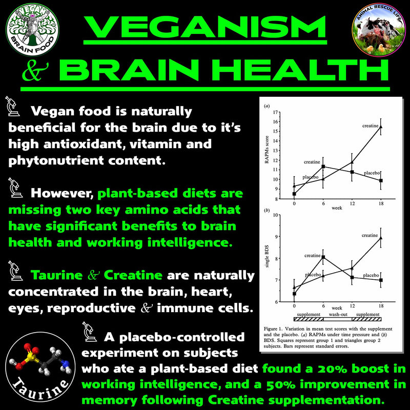 Vegan Brain & Body Boost: The Cherry On Top of a Plant-Based Lifestyle | Working Intelligence | Anti-Aging | Physical Fitness | Vegan Amino Acids - Creatine, Taurine & Beta Alanine | 40 Servings/300g