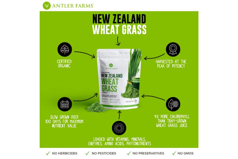Antler Farms Wheatgrass Powder 200g – 100% Pure Organic NZ, 40 Servings