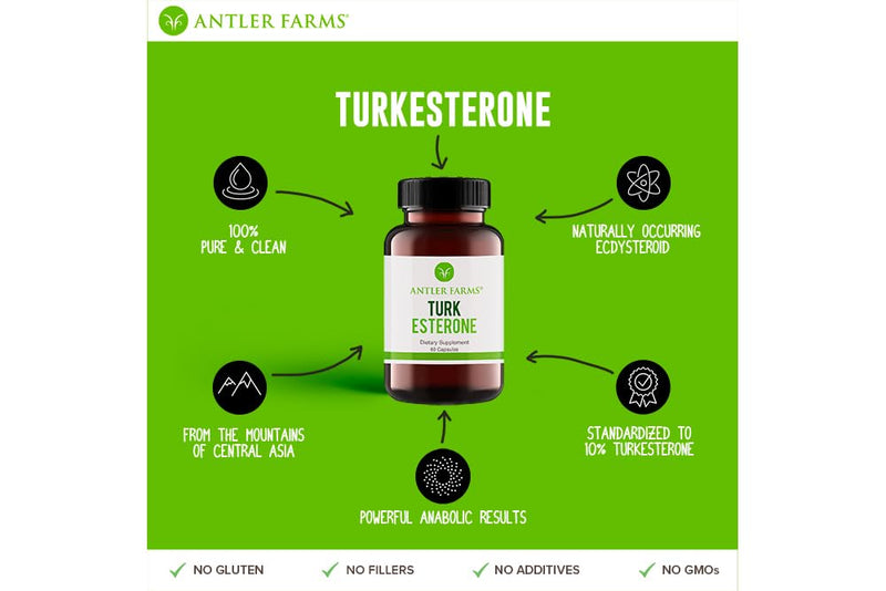 Antler Farms Turkesterone 60 Capsules 500mg Pack of 2 | Ajuga Turkestanica 10% Turkesterone