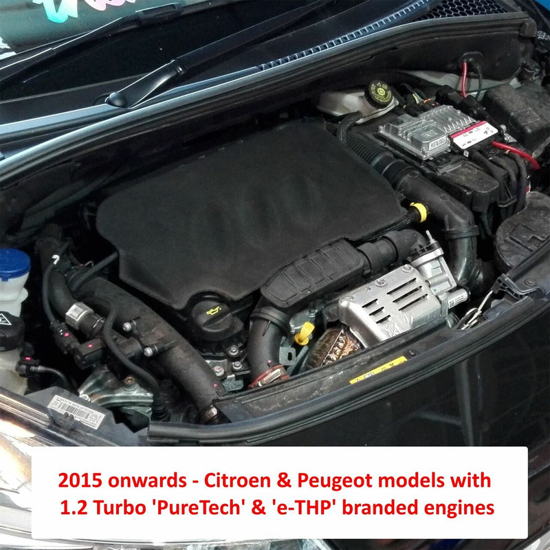 Ramair - Performance Induction Kit for Citroen C3/C4/Ds3/Ds4 & Peugeot 208/308/2008/3008/5008 1.2THP
