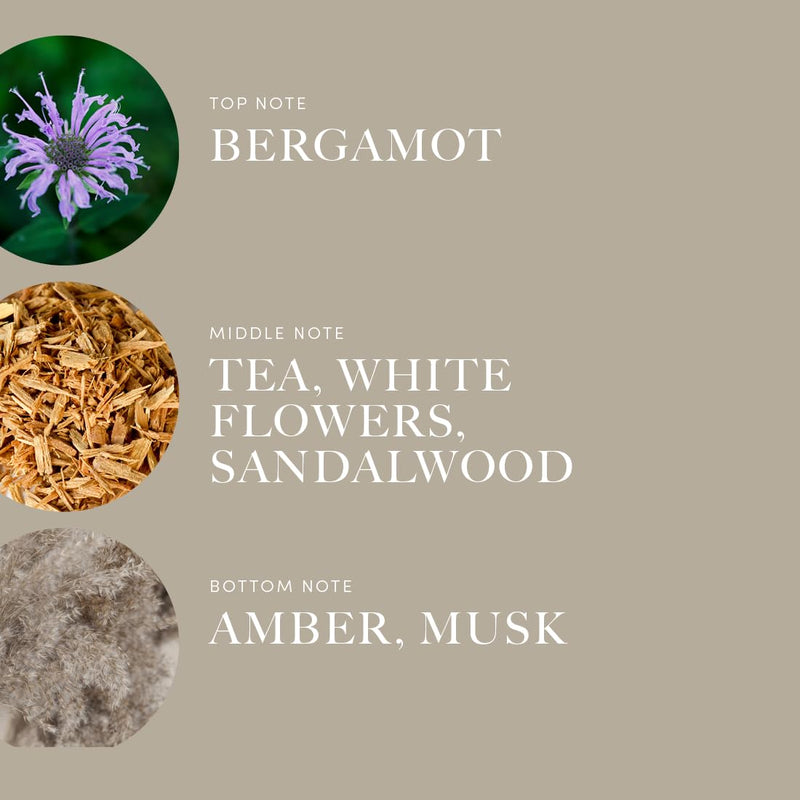 Aroma360 Pro Pod Adore Fragrance Oil Blend 50ML – Hotel-Inspired Luxury Diffuser