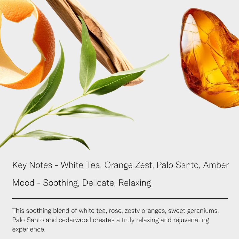 AromaTech White Tea Essential Oil Blend – Luxury Hotel Inspired Aromatherapy for Ultrasonic Diffusers (16 oz / 500 mL)