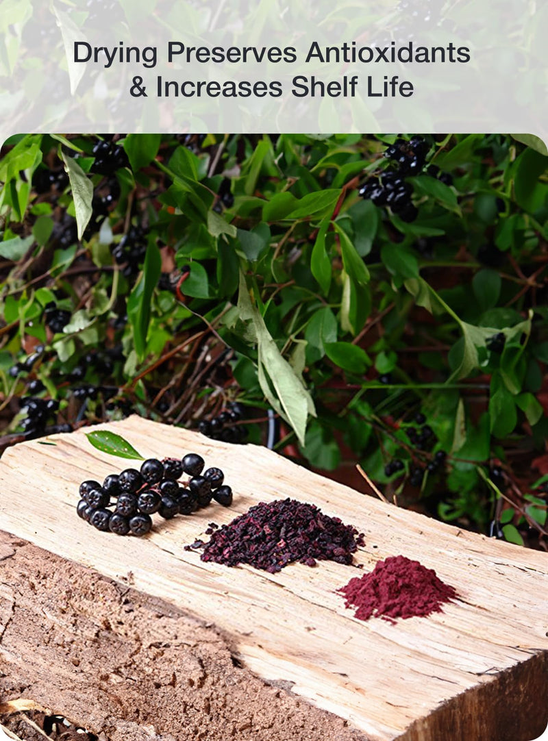 Organic Aronia Berry Juice Powder - 1 lb | Antioxidants