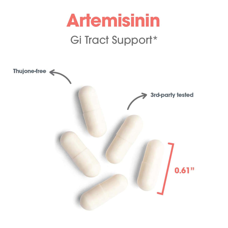 Allergy Research Group Artemisinin Supplement – GI Tract Support, 300 Count