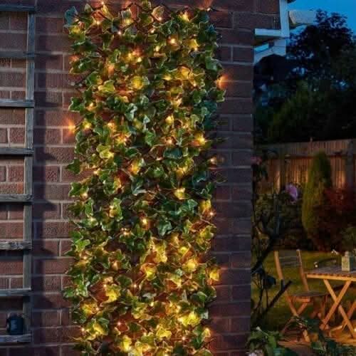 Solar Ivy Leaf Trellis 75 LED
