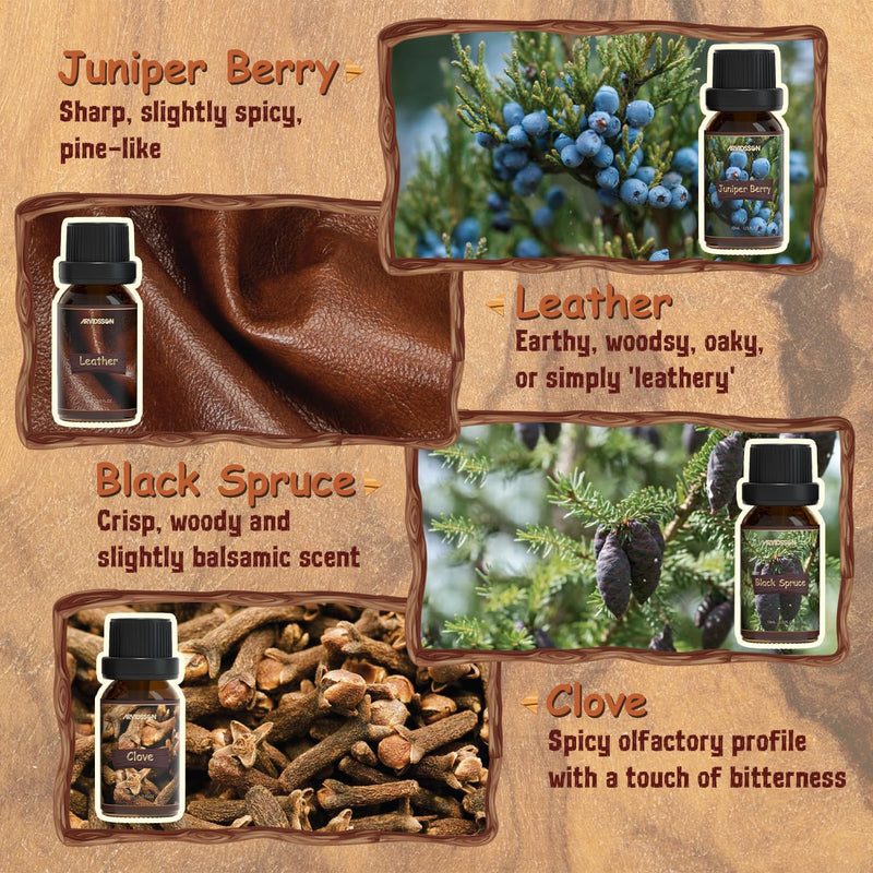 ARVIDSSON Woody Essential Oils Set – 12x10ml Woodsy Oils Gift Set for Diffusers