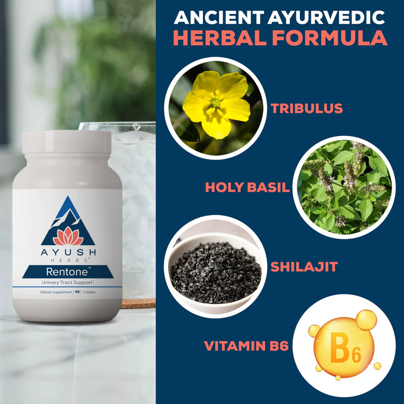 Ayush Herbs Rentone - Kidney Support with Cranberry | Urinary Health & Bladder Function - 90 Vegetarian Capsules
