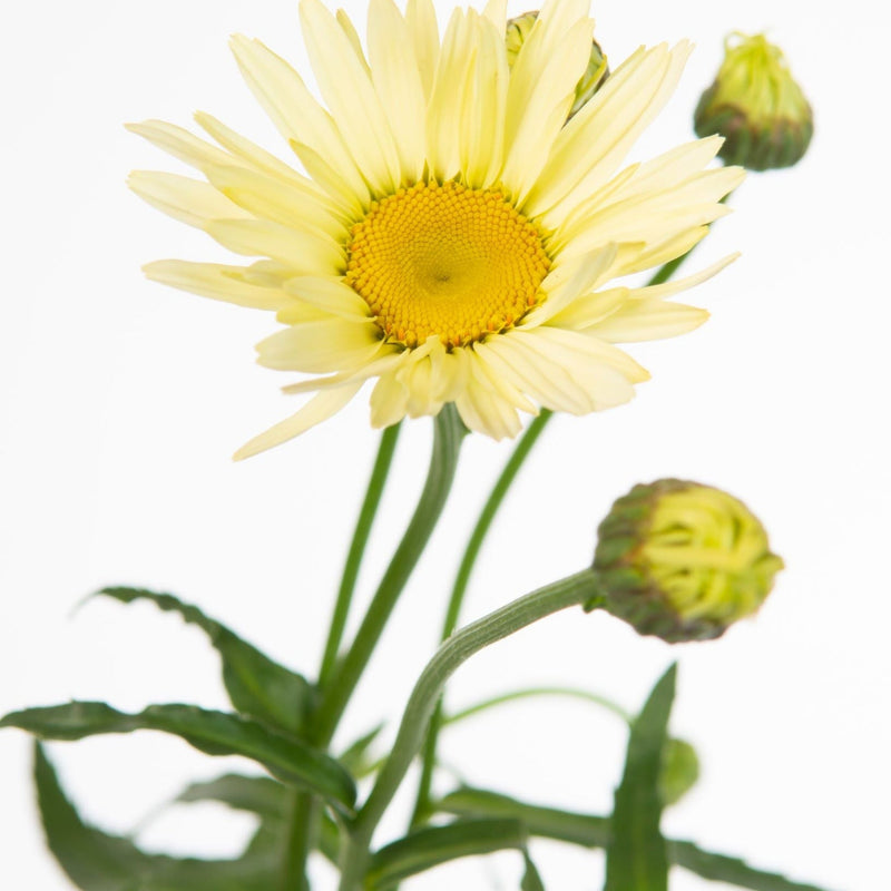 b7a9d2d3-c8c5-4c08-b1b1-07e9f8269263.png