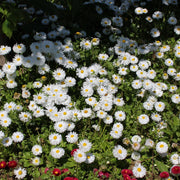 b835fdba-e0ff-4453-ba43-95cc8141707d.png