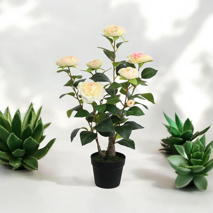 58CM ARTIFICIAL CAMELLIA PLANT