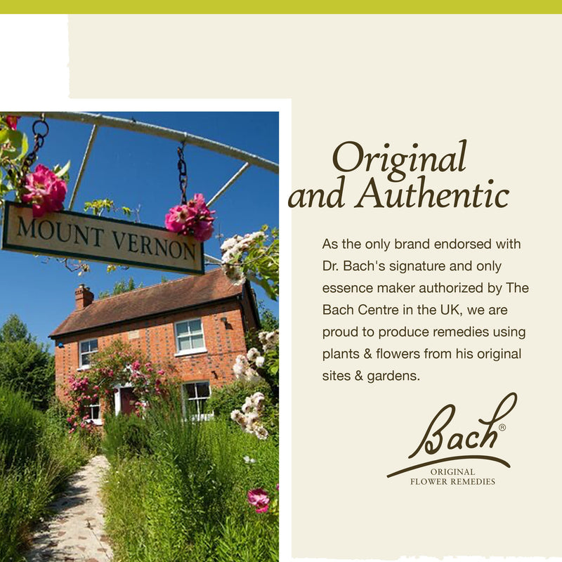 Bach Clematis Have Focus - Original Flower Remedies | 20mL Dropper