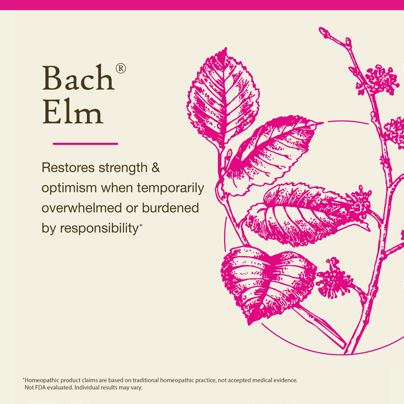 Bach Elm Original Flower Remedies - Be Efficient | 20mL Dropper