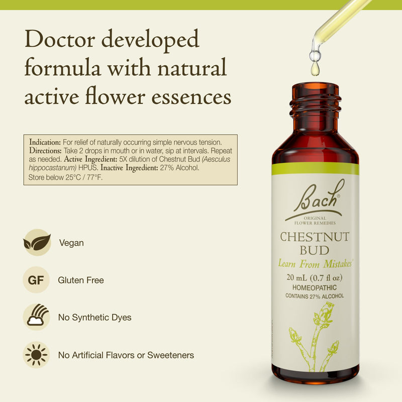 Bach Chestnut Bud Original Flower Remedy – Learn from Mistakes | Emotional Balance | 20mL Dropper | Vegan, Gluten-Free, Sugar-Free