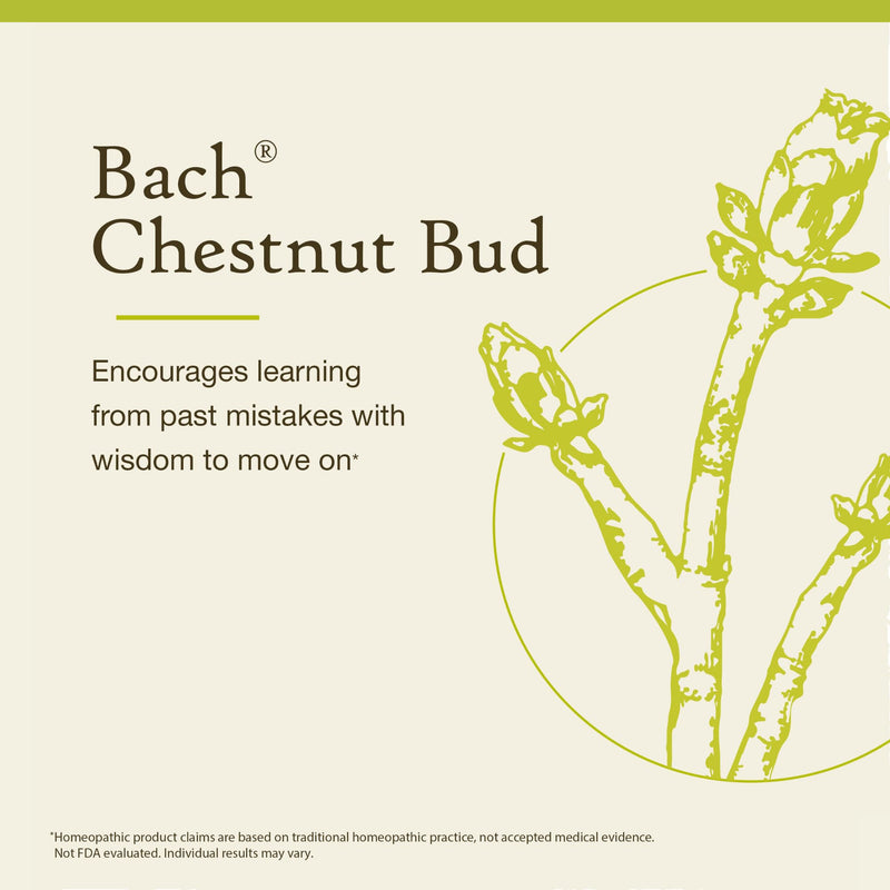 Bach Chestnut Bud Original Flower Remedy – Learn from Mistakes | Emotional Balance | 20mL Dropper | Vegan, Gluten-Free, Sugar-Free