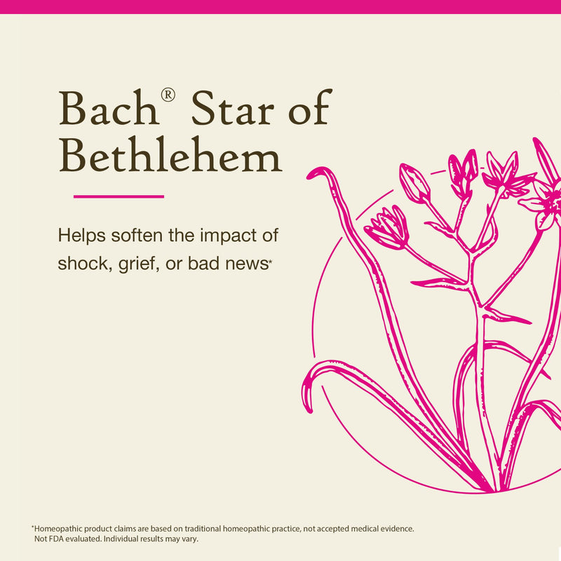 Star of Bethlehem Bach Original Flower Remedies – 20mL Dropper (Pack of 2) – Emotional Balance