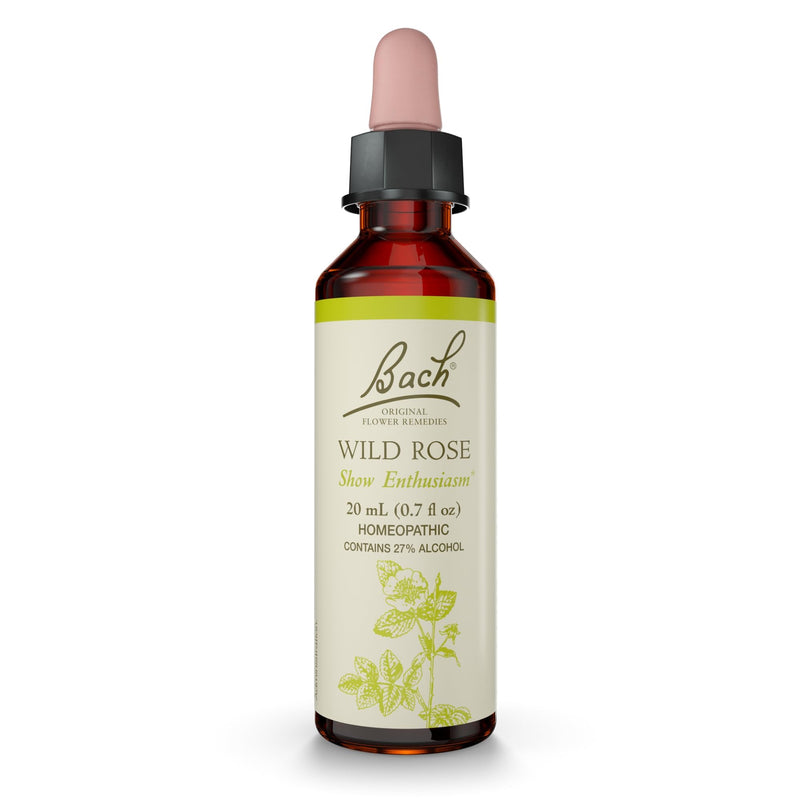 Bach Original Flower Remedies: Wild Rose - Show Enthusiasm | 20mL Dropper