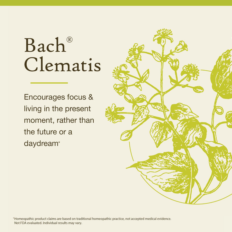 Bach Original Flower Remedies: Clematis Have Focus - Emotional Balance (20mL Dropper)